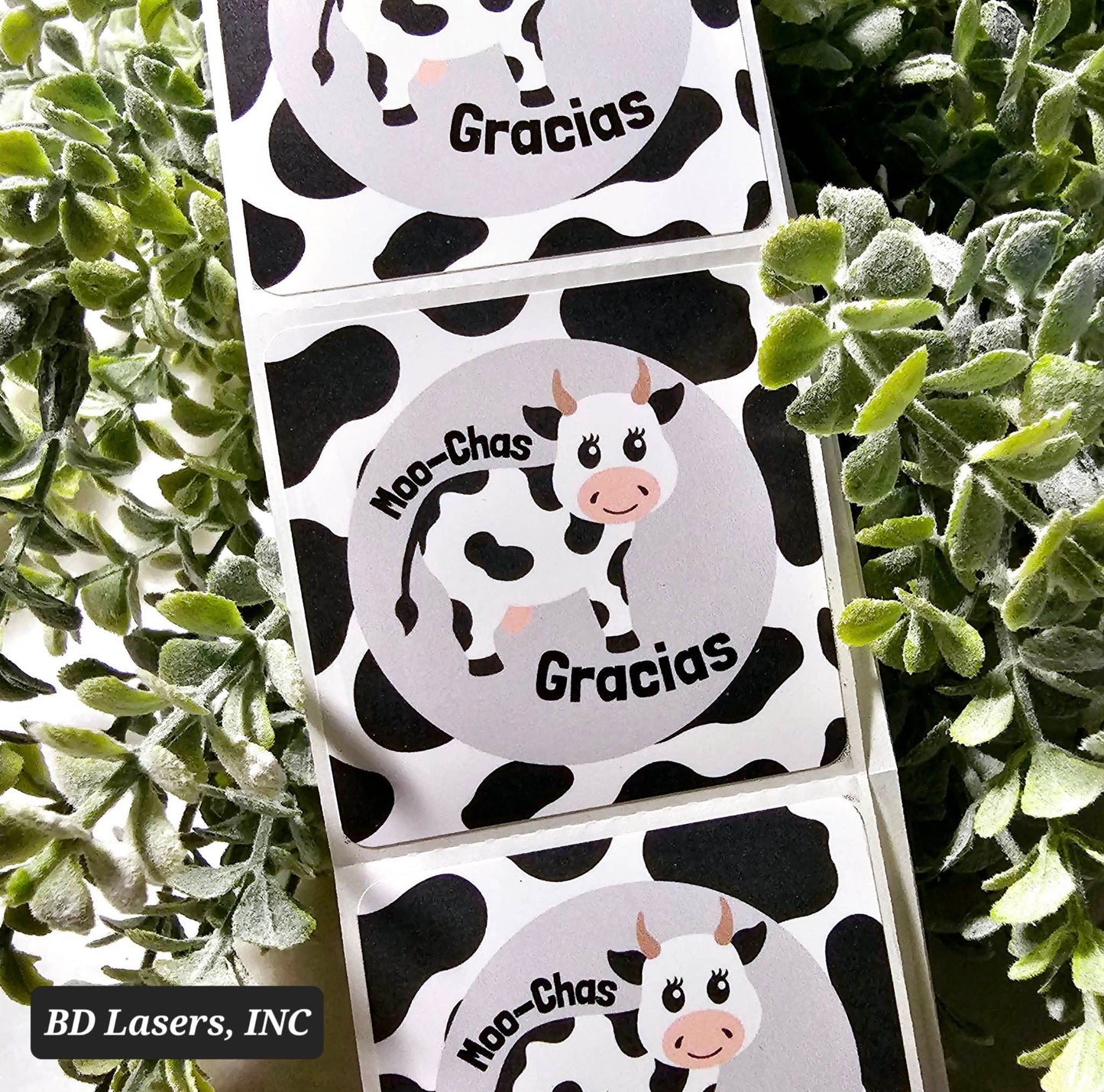 Cow Moo-Chas Gracias Thank You Stickers